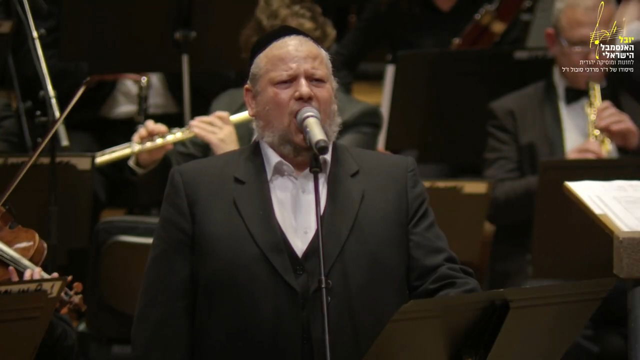 ״חיזרו הביתה!״ // אופיר סובול