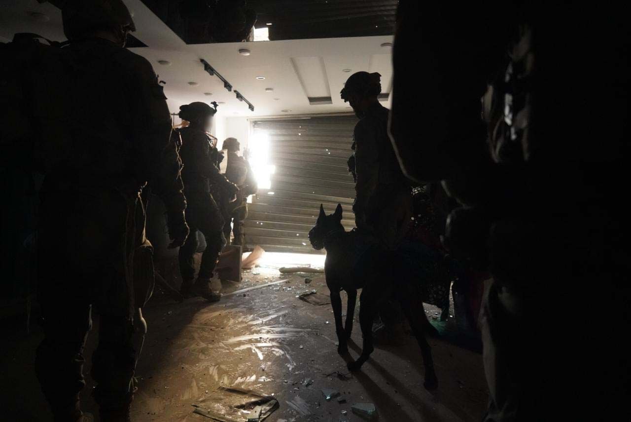 פעילות כוחות צה"ל ברצועה