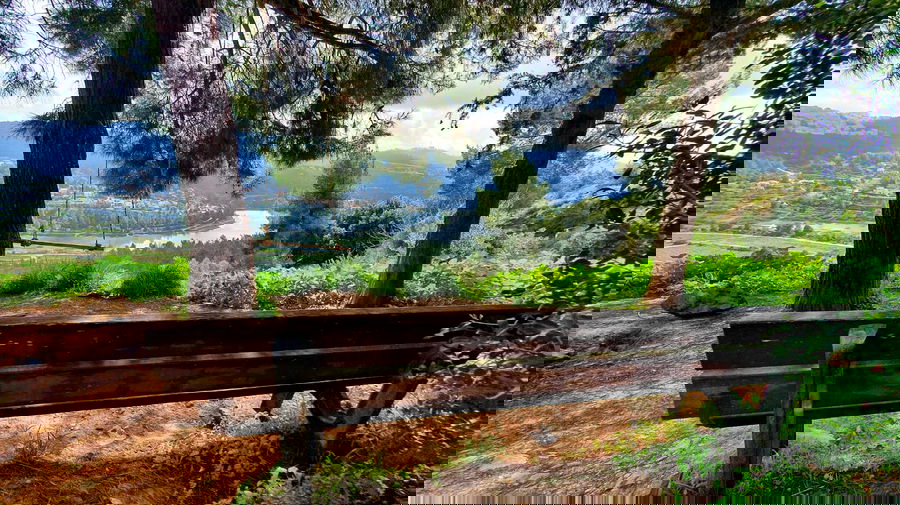 הספסל והתצפית בימים אלו