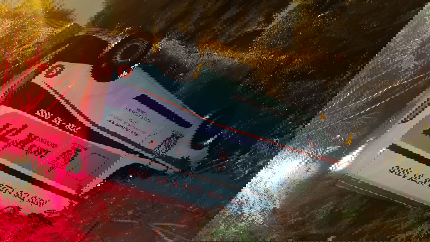 זופניק בכיכר • כל התמונות, הנייעס והחשיפות של השבוע