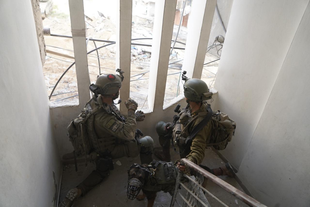 פעילות כוחות צה"ל בעזה