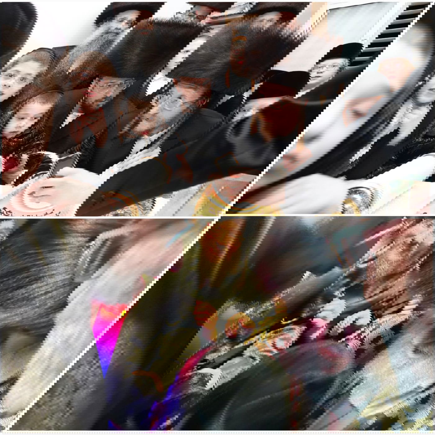 זופניק בכיכר • כל התמונות, הנייעס והחשיפות של השבוע