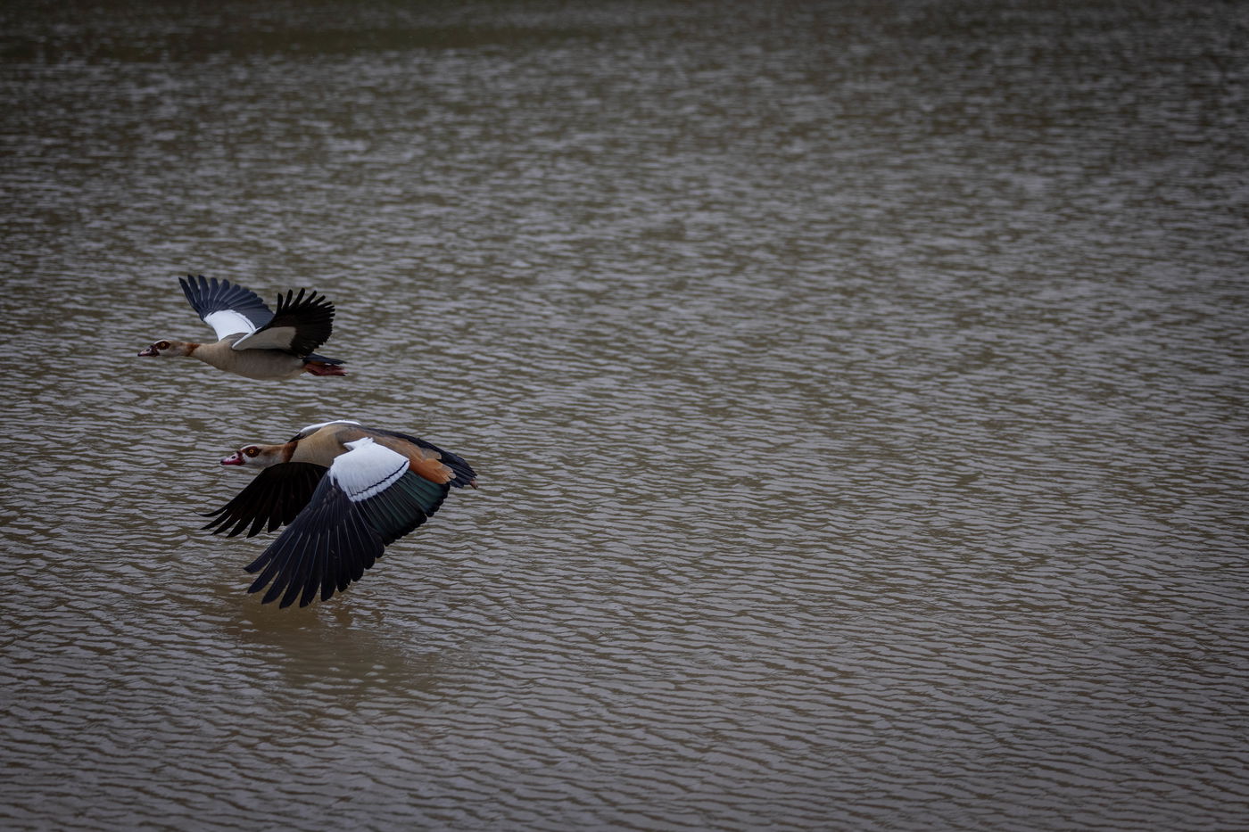 התחזית: גשום בצפון ובמרכז; ירידה ניכרת בטמפרטורות
