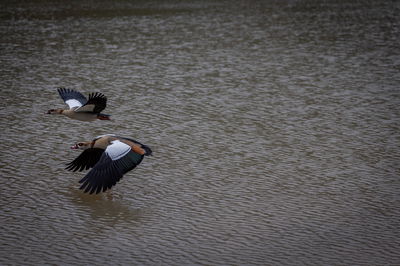 התחזית: גשום בצפון ובמרכז; ירידה ניכרת בטמפרטורות
