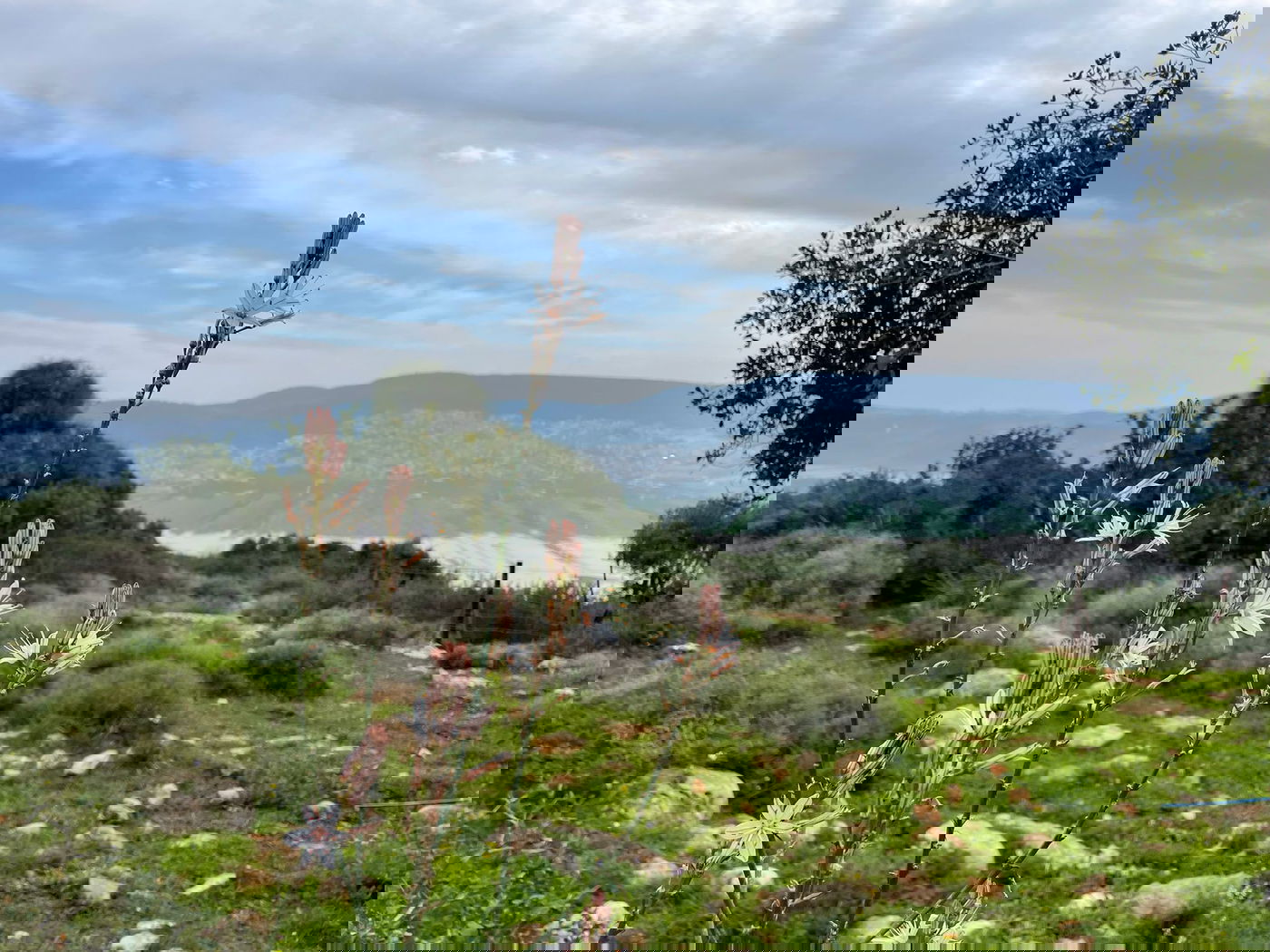 בקעת בית נטופה, אדר א' תשפ"ד