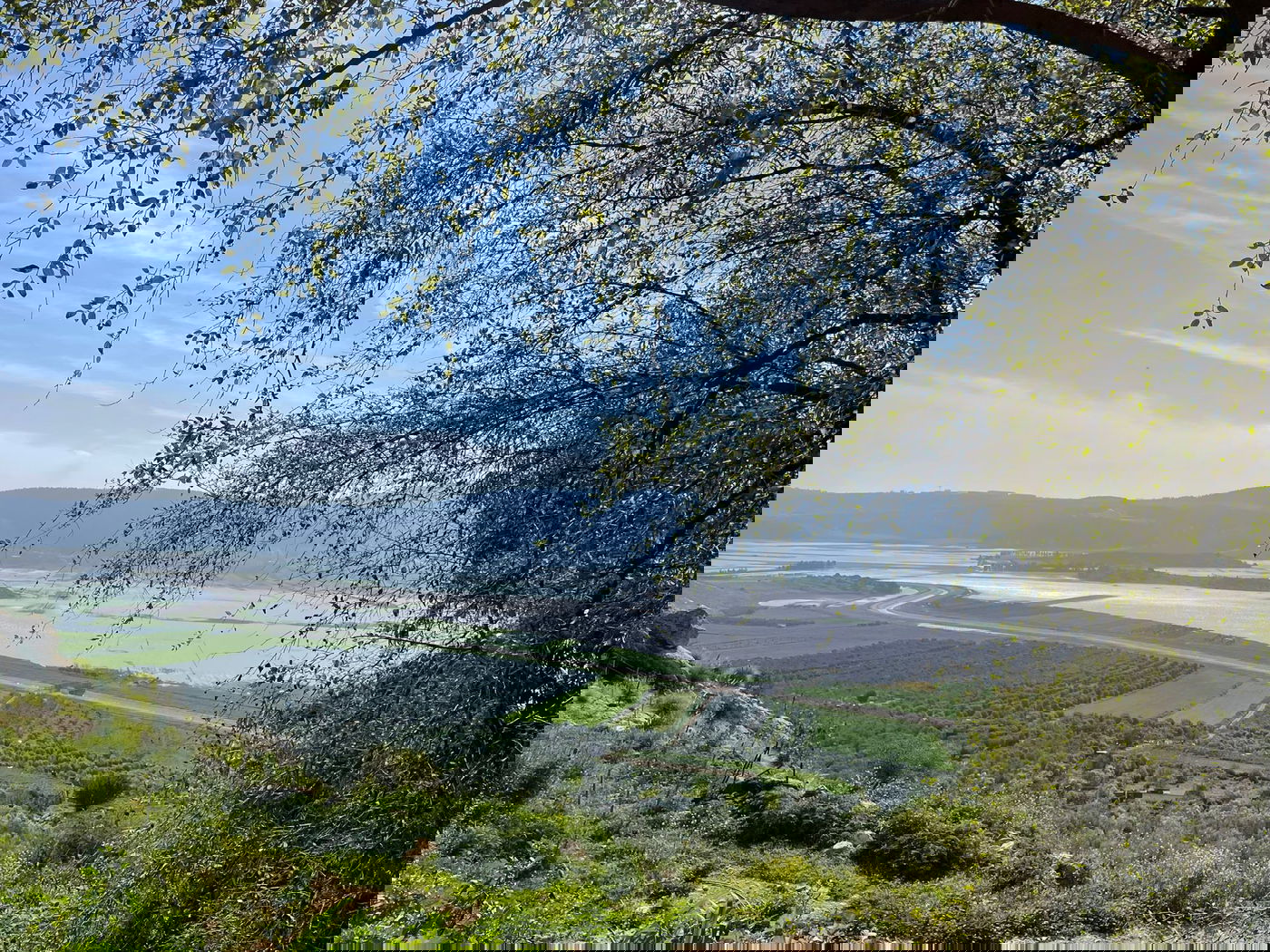 בקעת בית נטופה, אדר א' תשפ"ד