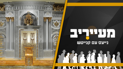ההדמיה שמסעירה את המגזר: כך ייראה ארון הקודש של ישיבת סורוצקין • מעייריב