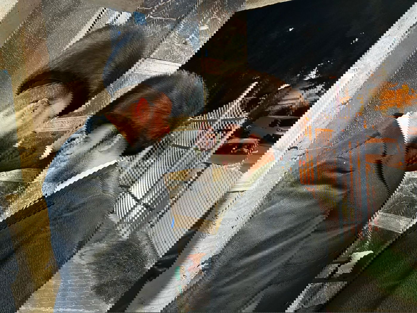 זופניק בכיכר • כל התמונות, הנייעס והחשיפות של השבוע