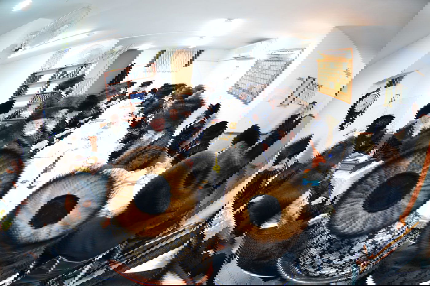 'שבע ברכות' לנכד: האדמו"ר הישיש מארה"ב שבת באשדוד