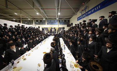 שמחת השבע ברכות בחצר הקודש זוועהיל | תיעוד