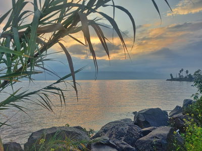 היום: ירידה ניכרת בטמפרטורות, בהמשך השבוע חם ויבש