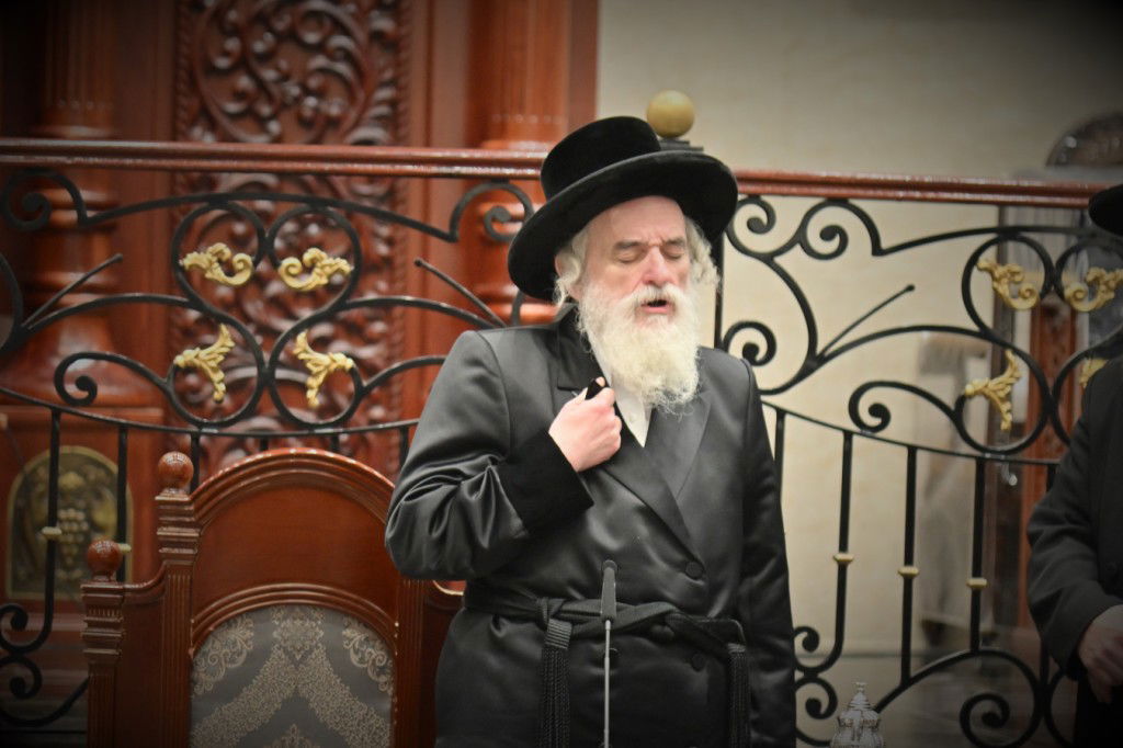 הרבי מויז'ניץ ב'שבעה'