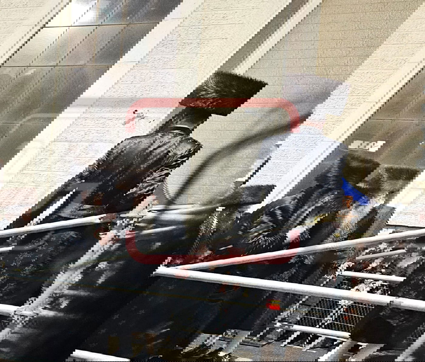 בעיצומם של ימי השבעה: האדמו"ר ליווה את נכדו לחופה | תיעוד בלעדי