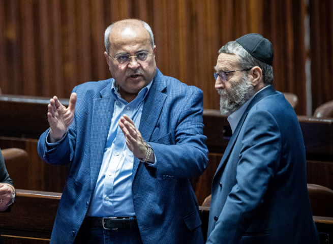 טיבי וגפני במליאה