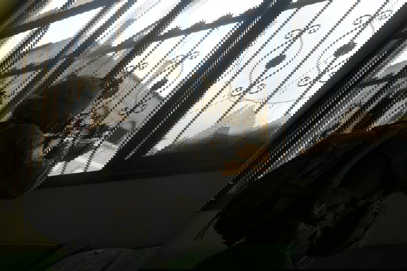 תיעוד מהפעילות