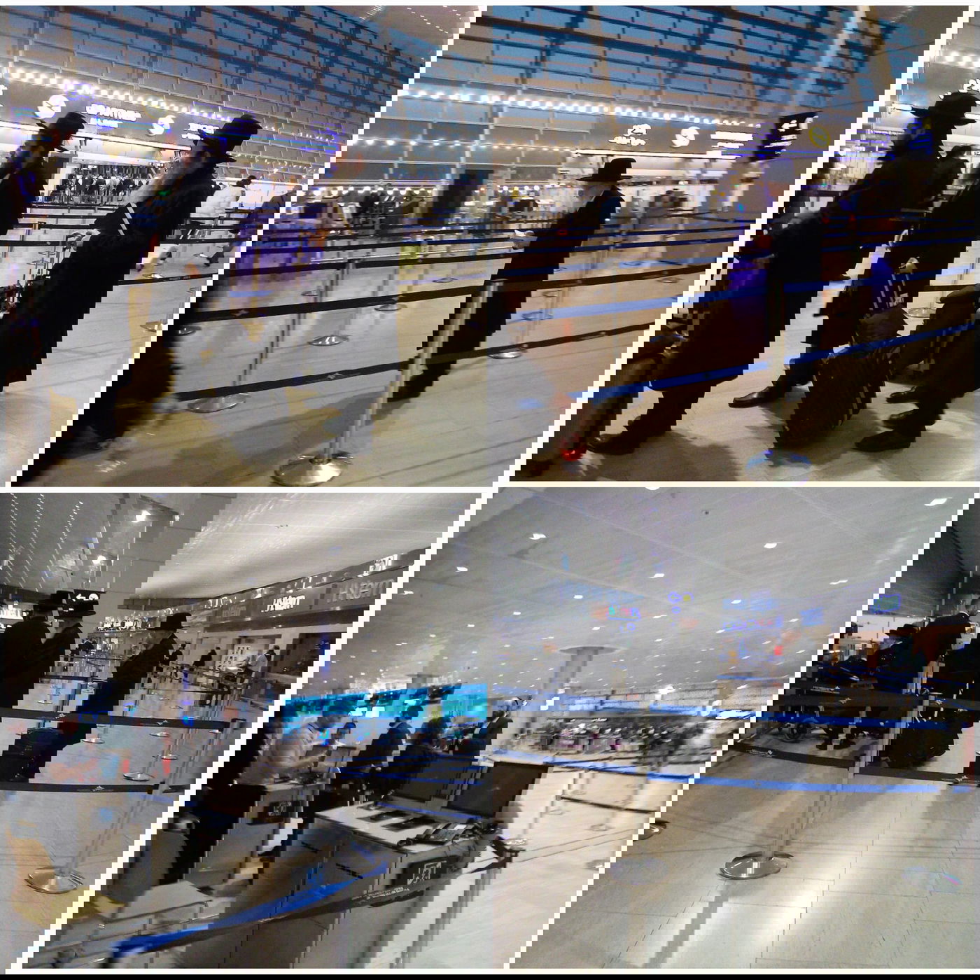 זופניק בכיכר • כל התמונות, הנייעס והחשיפות של השבוע