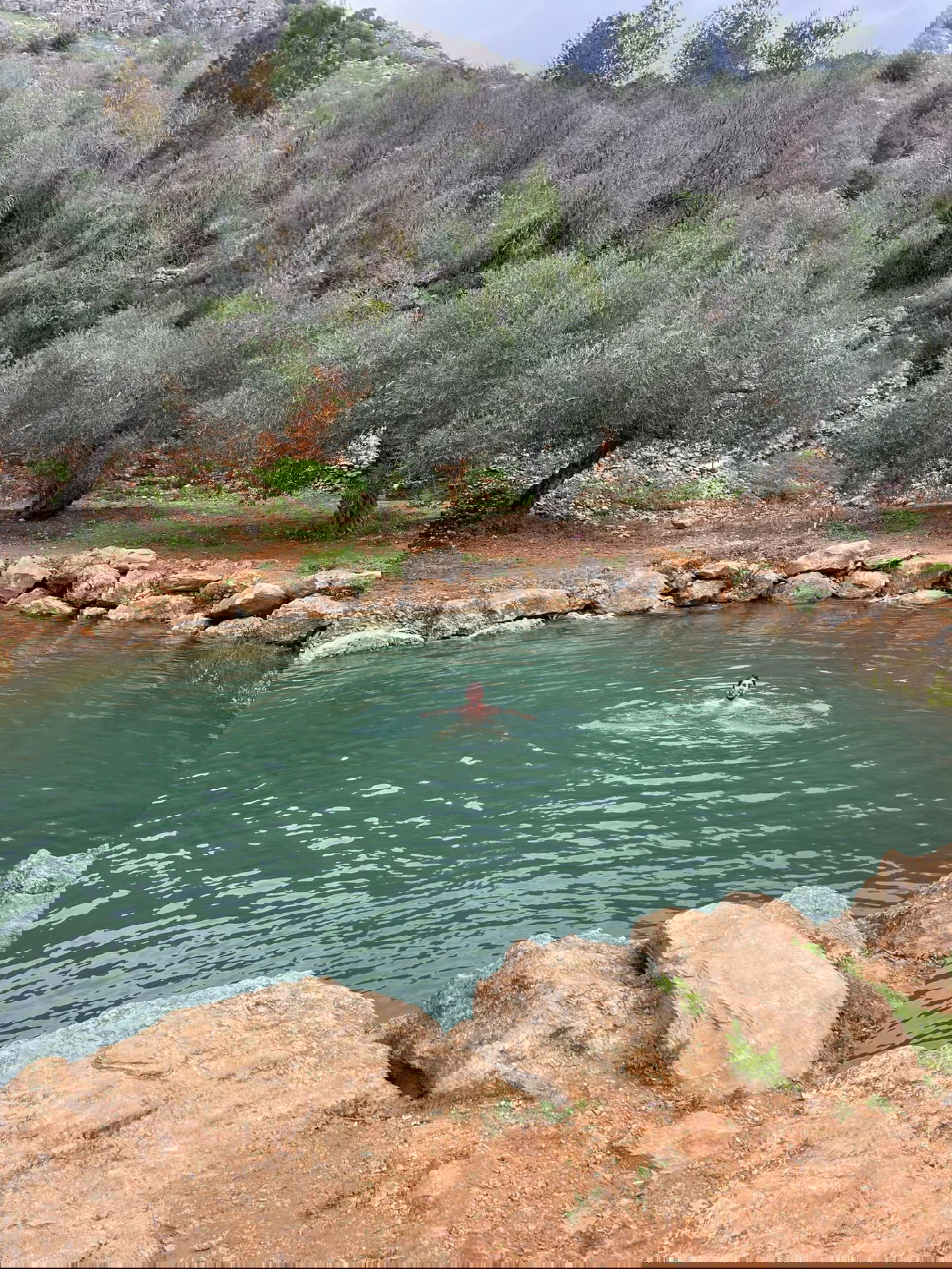 עין מַגְ'נוּנָה (עין יפעם)