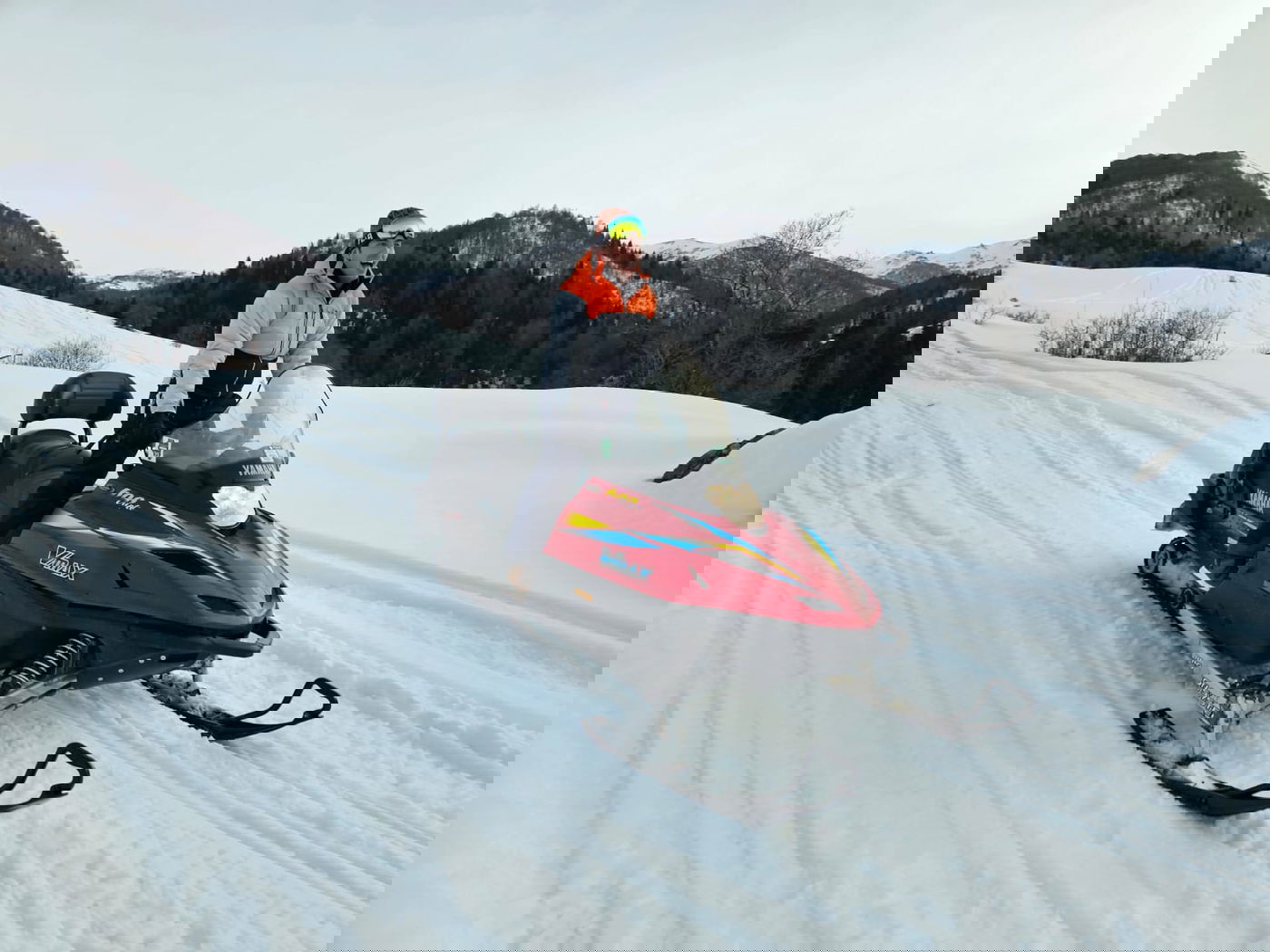 זופניק בכיכר • כל התמונות, הנייעס והחשיפות של השבוע