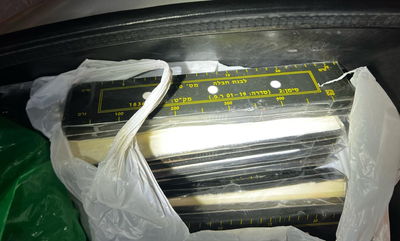 לבנות החבלה שנתפסו