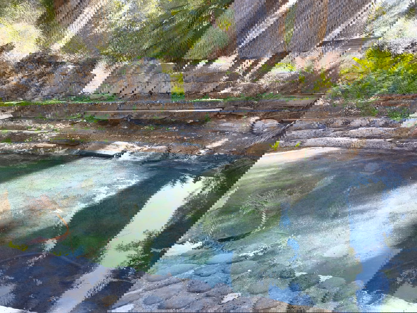 המרחצאות העתיקים בחמת גדר - מלאים