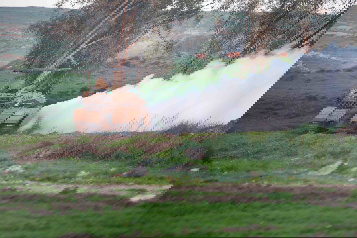 מהקרבות בעזה, מהצפון ומיו"ש | תיעודים חדשים מהמלחמה