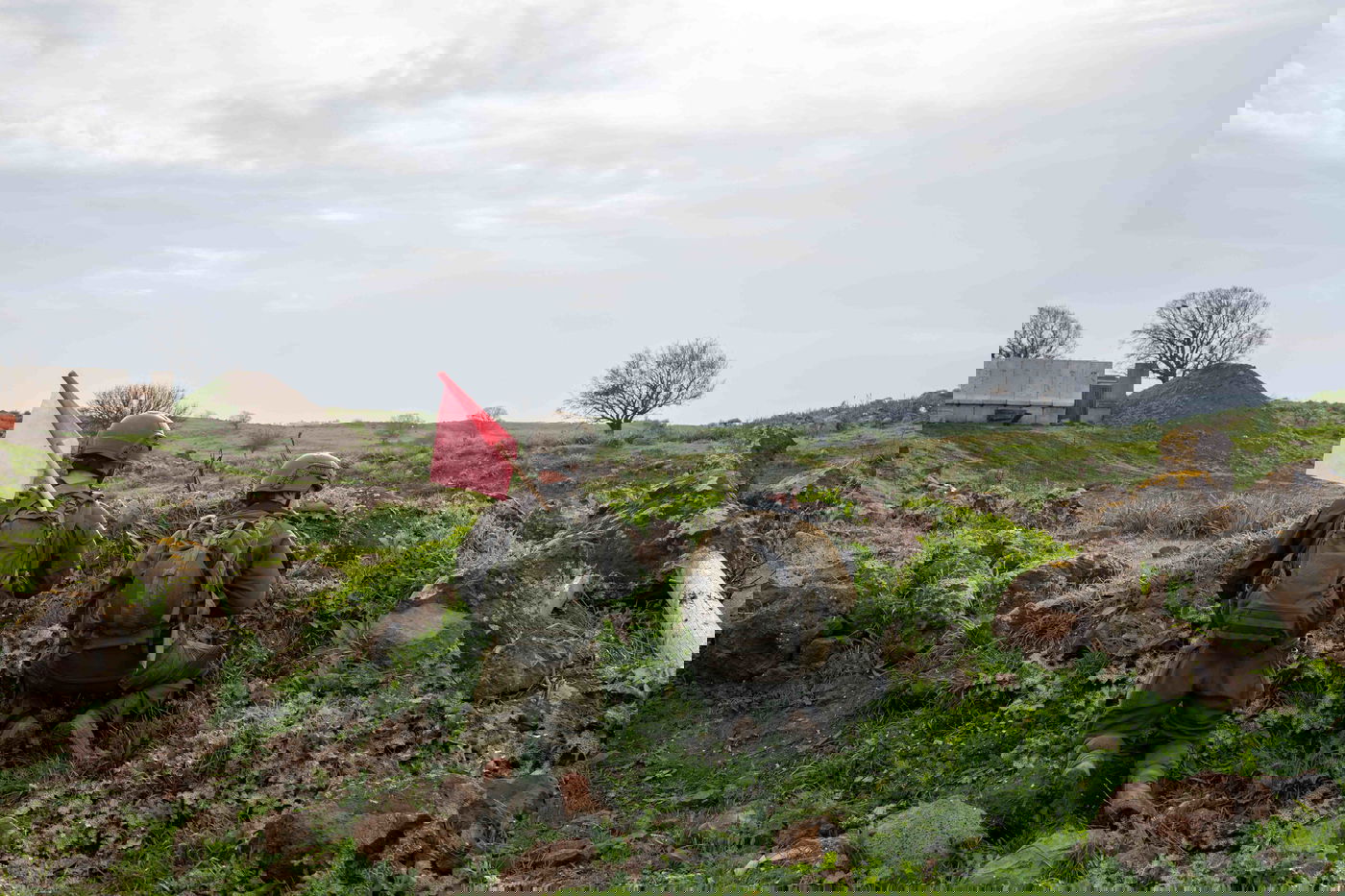 מהקרבות בעזה, מהצפון ומיו"ש | תיעודים חדשים מהמלחמה