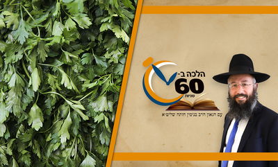 האם יברך ברכת הריח על כוסברה ופטרוזיליה באוכל? • צפו 