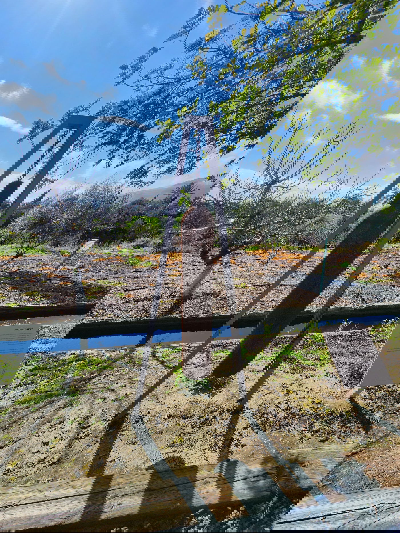 חצר מוזאון חומה ומגדל