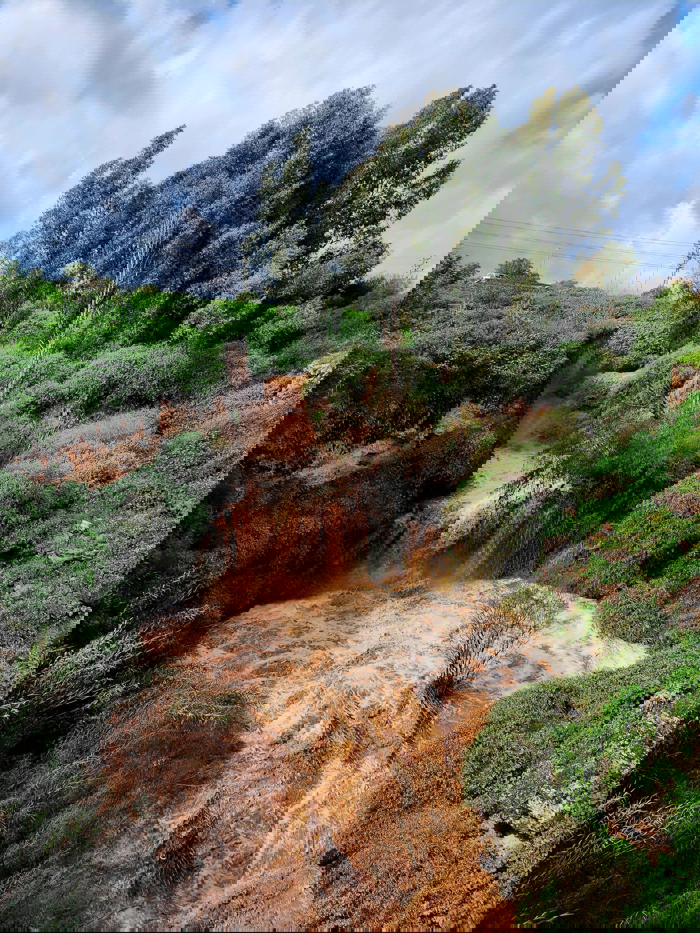 טבע באזור עמק בית שאן