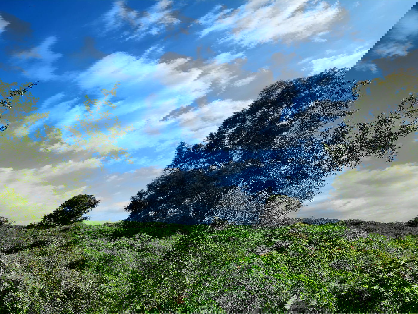 טבע באזור עמק בית שאן