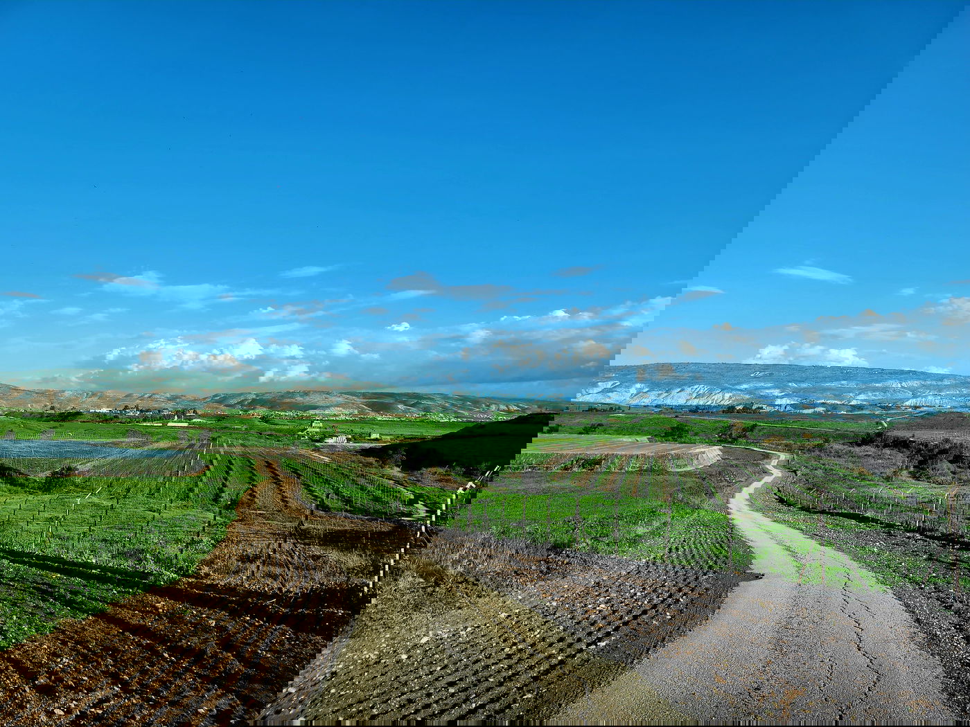 טבע באזור עמק בית שאן