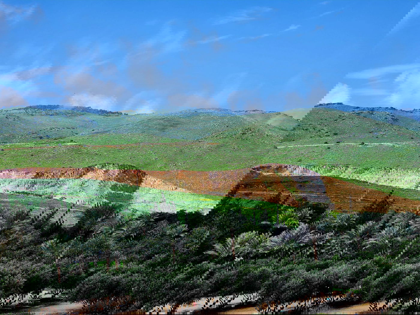 טבע באזור עמק בית שאן