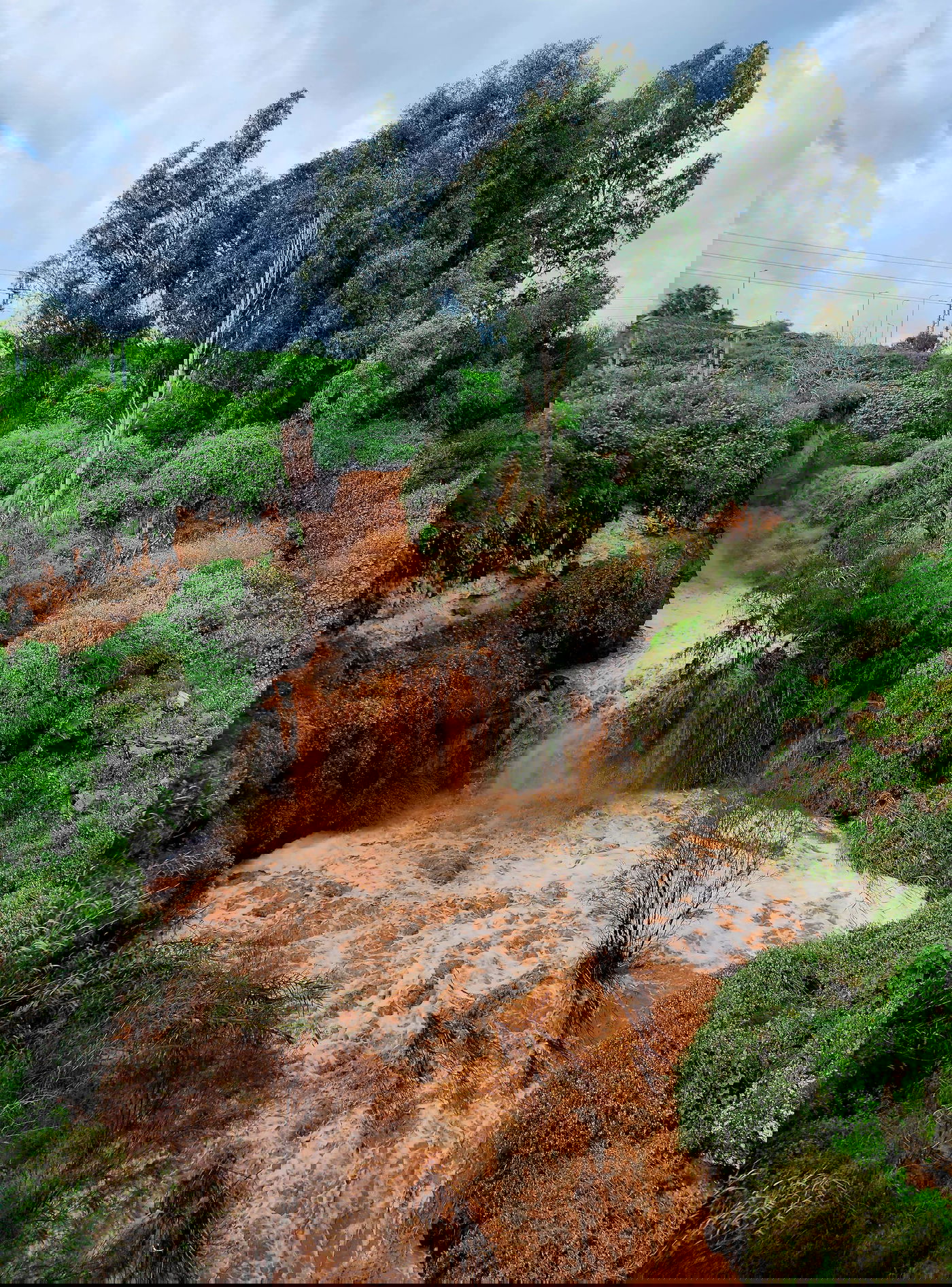 טבע באזור עמק בית שאן