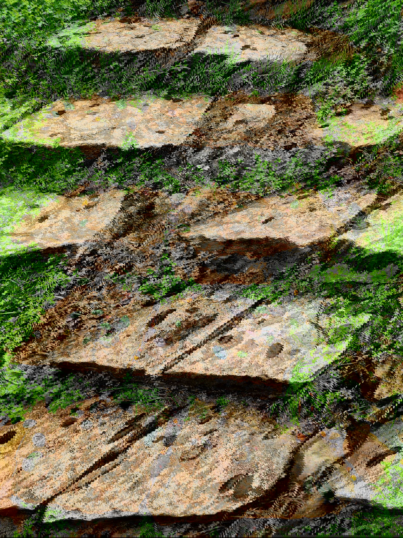 טבע באזור עמק בית שאן