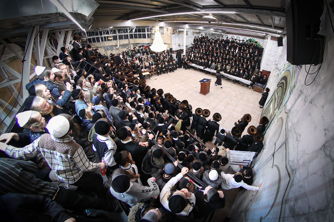 הכנסת ספר תורה בשומרי אמונים בירושלים