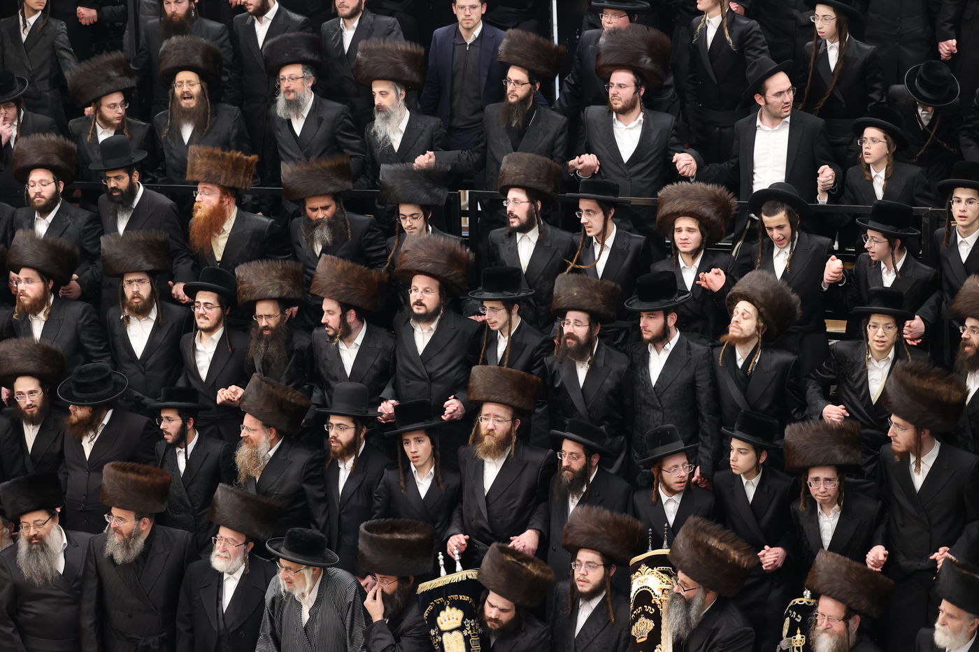 הכנסת ספר תורה בשומרי אמונים בירושלים