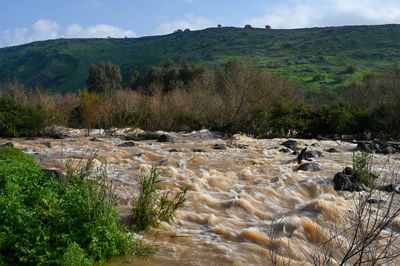הזרימה בנהר הירדן