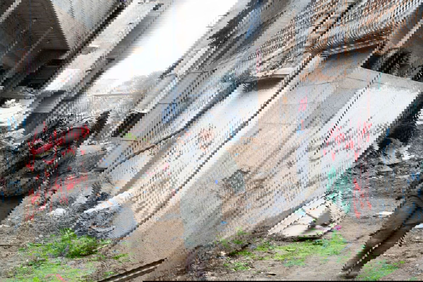 תיעוד מהפעילות