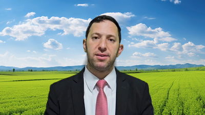 הרב נפתלי וסרמן על פרשת כי תשא • צפו