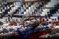 רוצחי נוח'בה כלואים בישראל