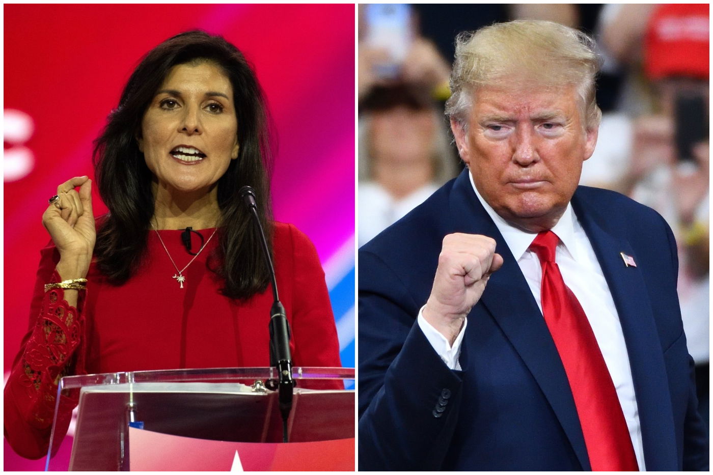 טראמפ והיילי