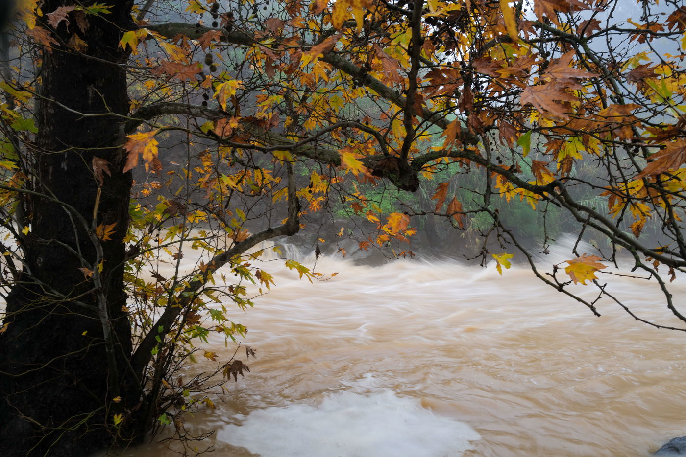 התחזית: ירידה בטמפרטורות וגשמים מקומיים בכל הארץ