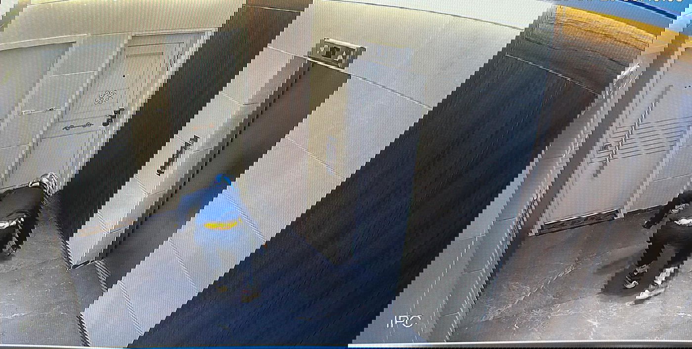 בן 17 נעצר בחשד להנחת מטען צינור בכניסה לדירה בתל אביב