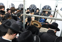 הילולת רבי גרשון מקיטוב בשנים עברו