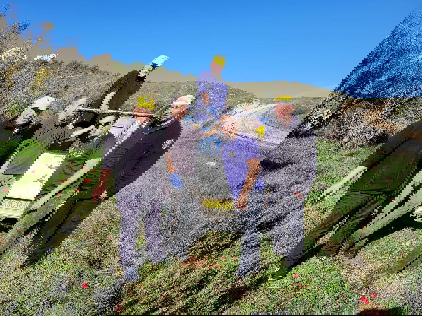 הצבועה ציונה שוחררה לחופשי