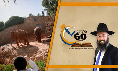 איזה תאריך קובע להנחות לפי גיל - עברי או לועזי? • צפו 