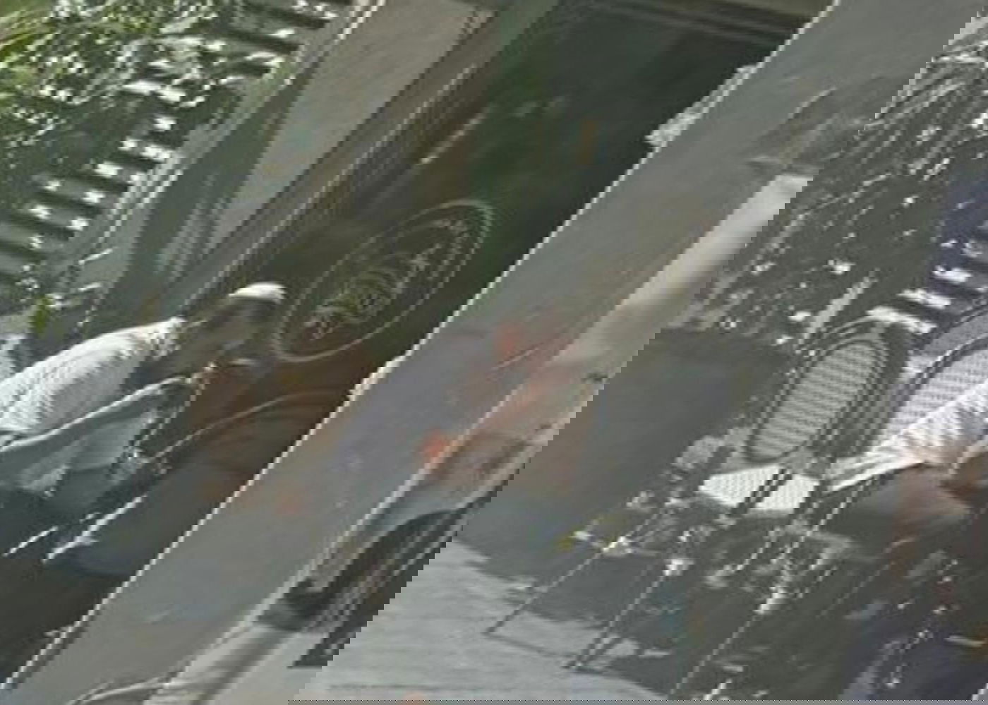 זופניק בכיכר • כל התמונות, הנייעס והחשיפות של השבוע