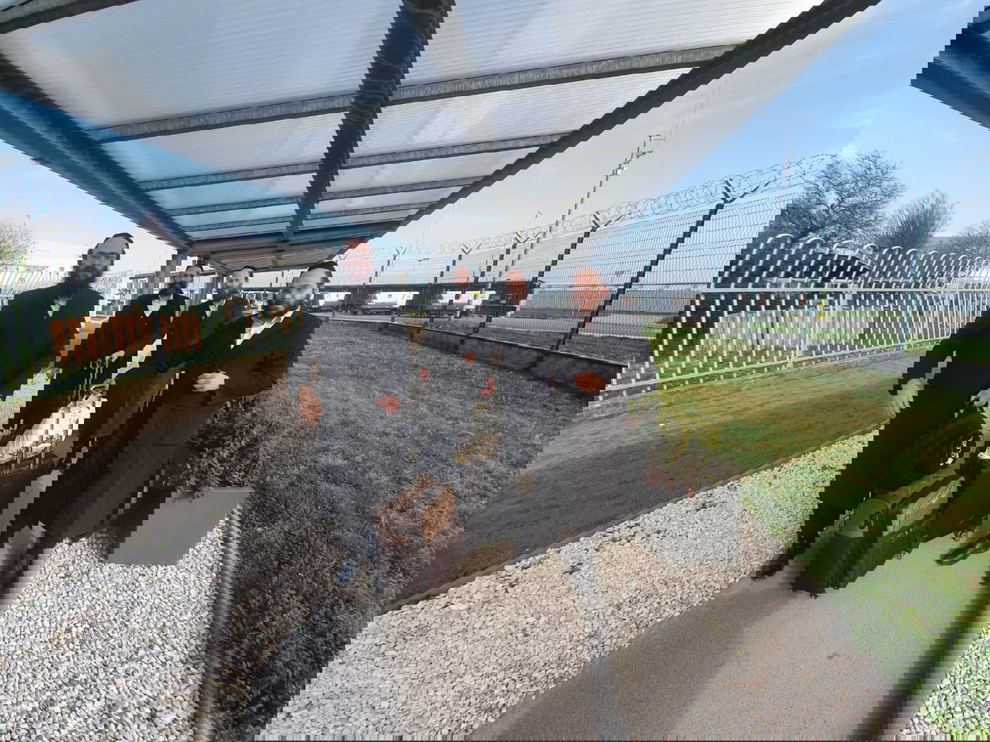 זופניק בכיכר • כל התמונות, הנייעס והחשיפות של השבוע