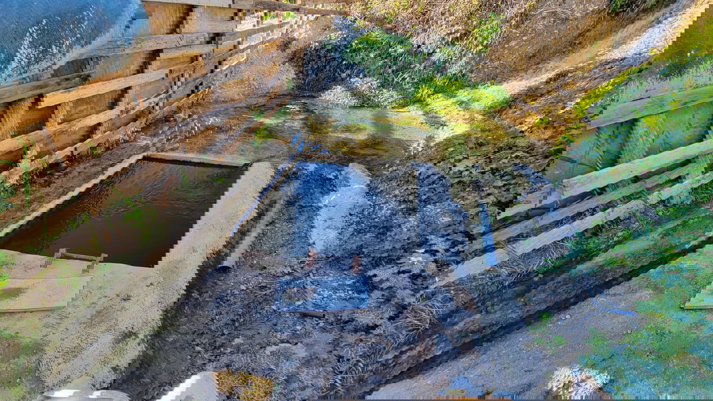 מעין שמעון בביריה