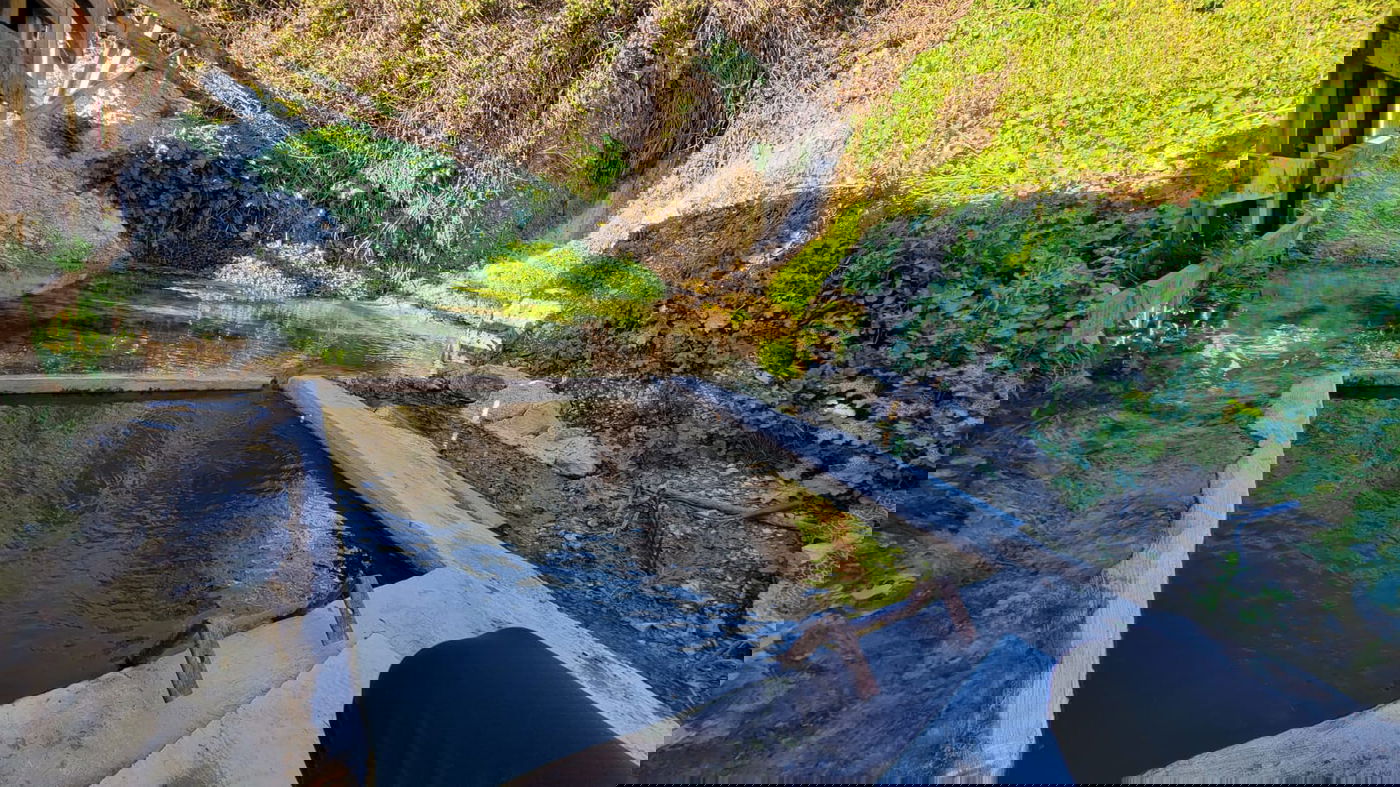 מעין שמעון בביריה